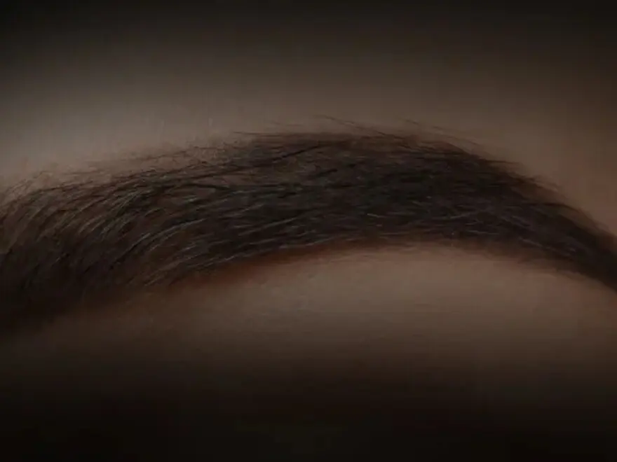 Eyebrow Transplant